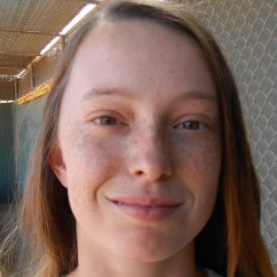 Erica Noll mugshot