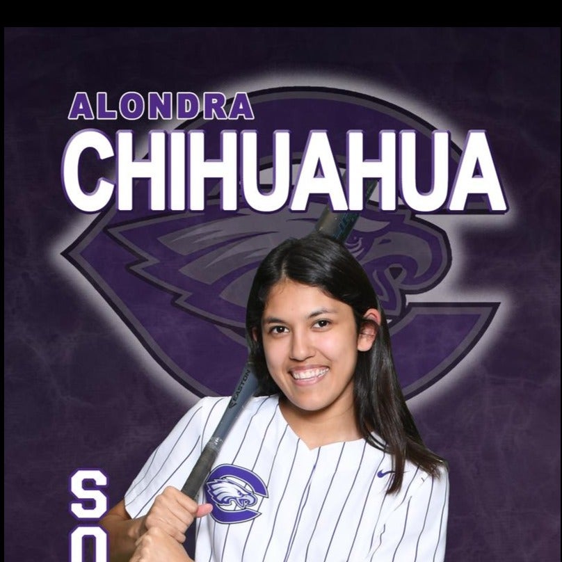 Alondra Chuhuahua mugshot