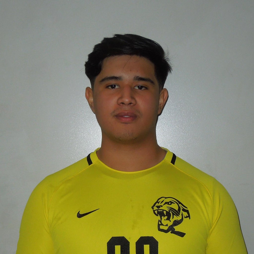 Bryan Araujo