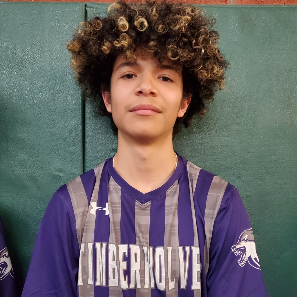 Vincenzo Robles mugshot