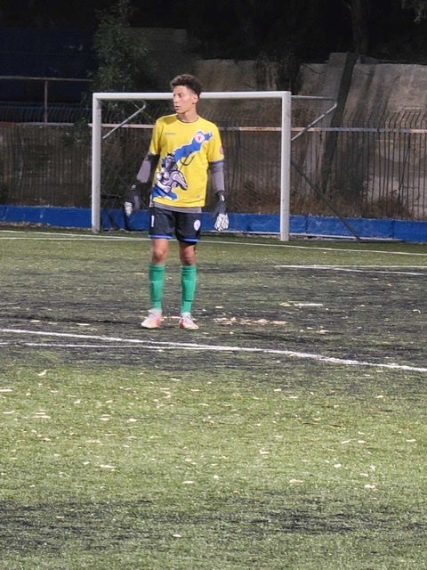 Vasili Diakomihalis
