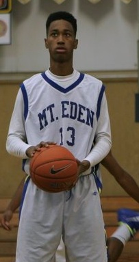 Stevinaire Young