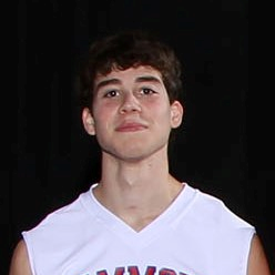 Brandon Picow mugshot