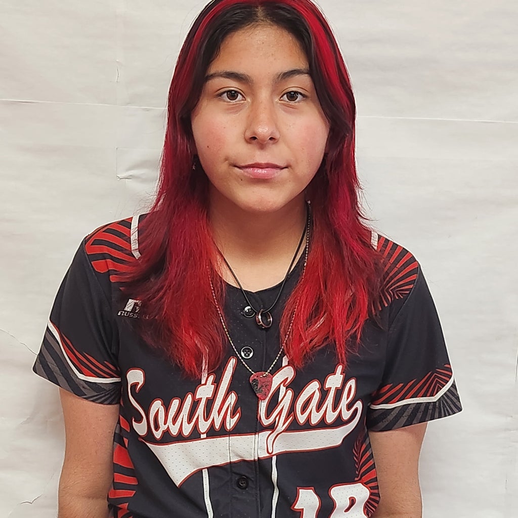 Aylin Acevedo mugshot