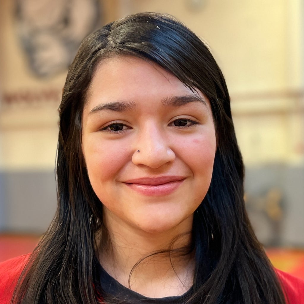 Stephanie Castro mugshot