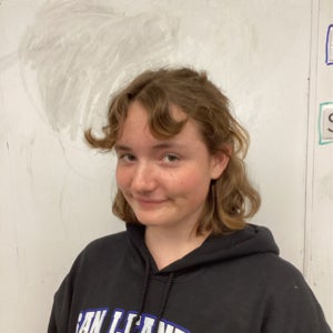 Lindy Harter mugshot