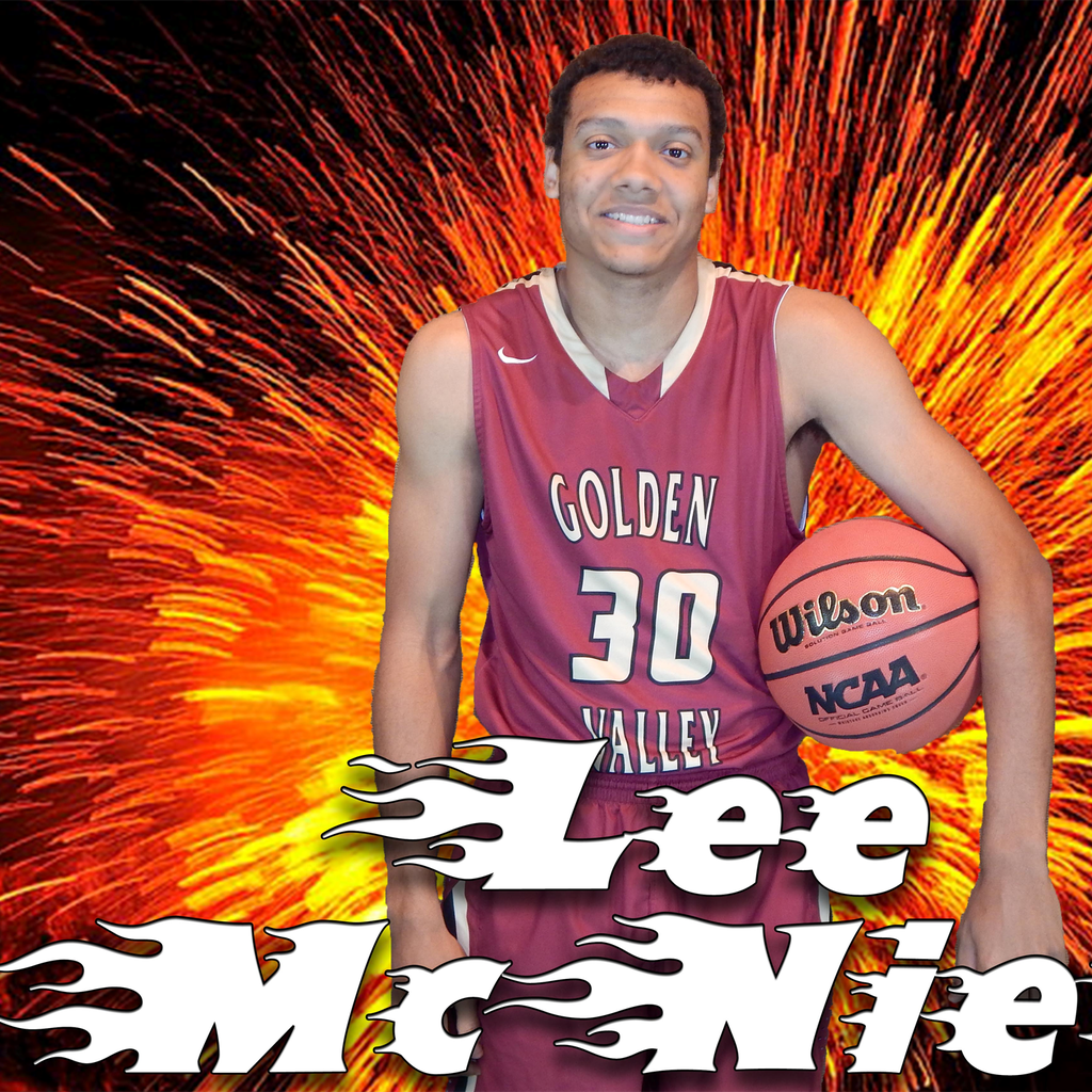 Lee Mcneill mugshot