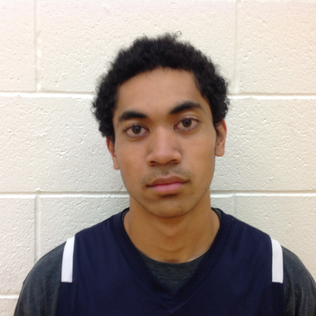 JOEL FALEPAPALANGI mugshot