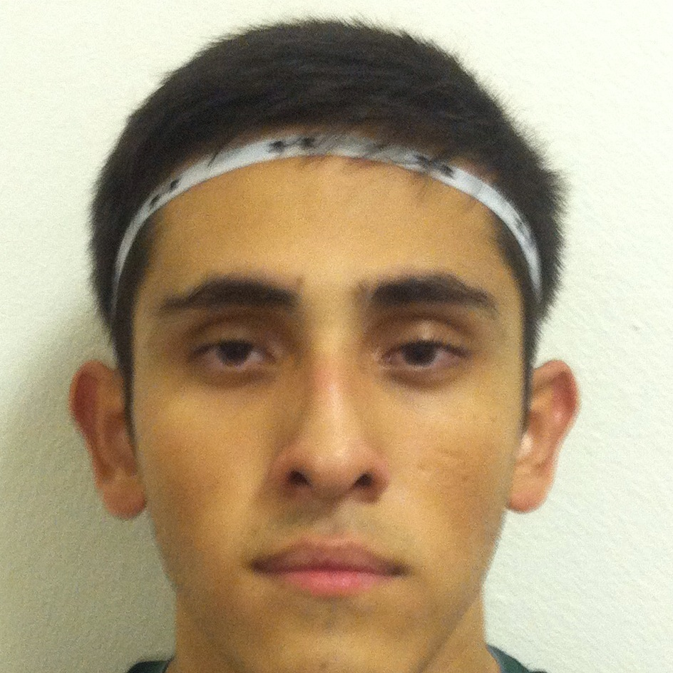 Robert Mendoza mugshot