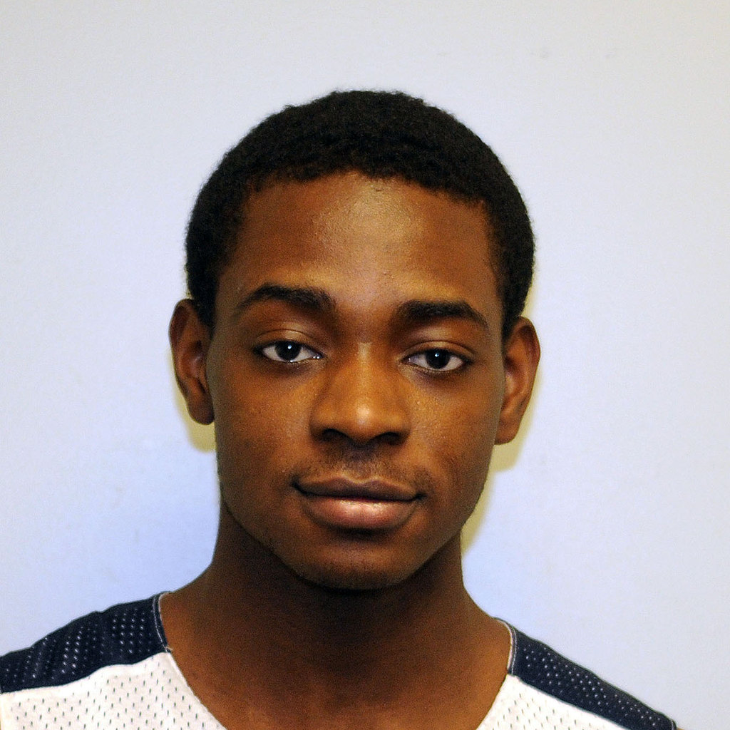 Niko Delucian mugshot