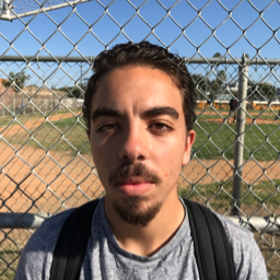 Mark Shehata mugshot