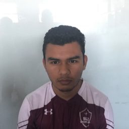 Joel Guzman