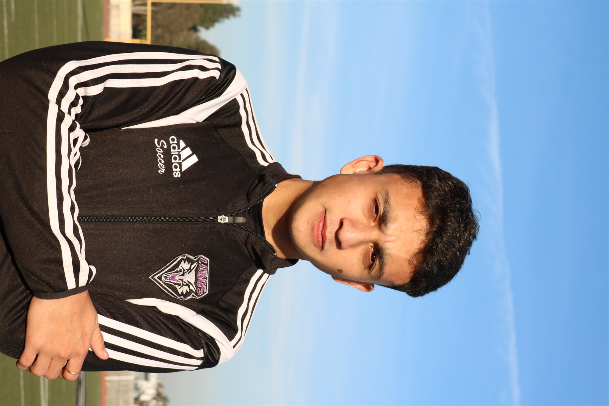 Luis Flores