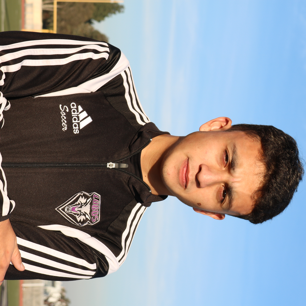 Luis Flores mugshot