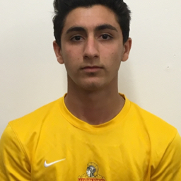 Arian Shapourifar mugshot