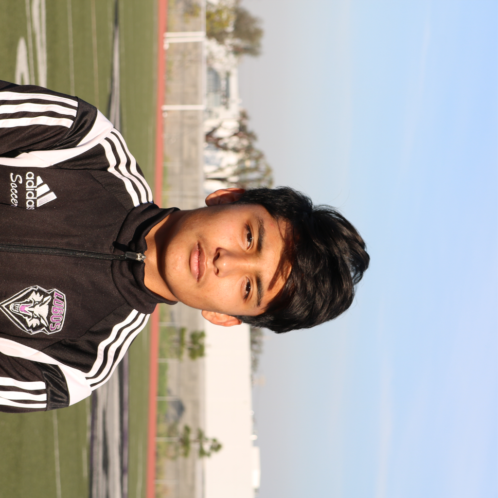 Damien Alvarez mugshot