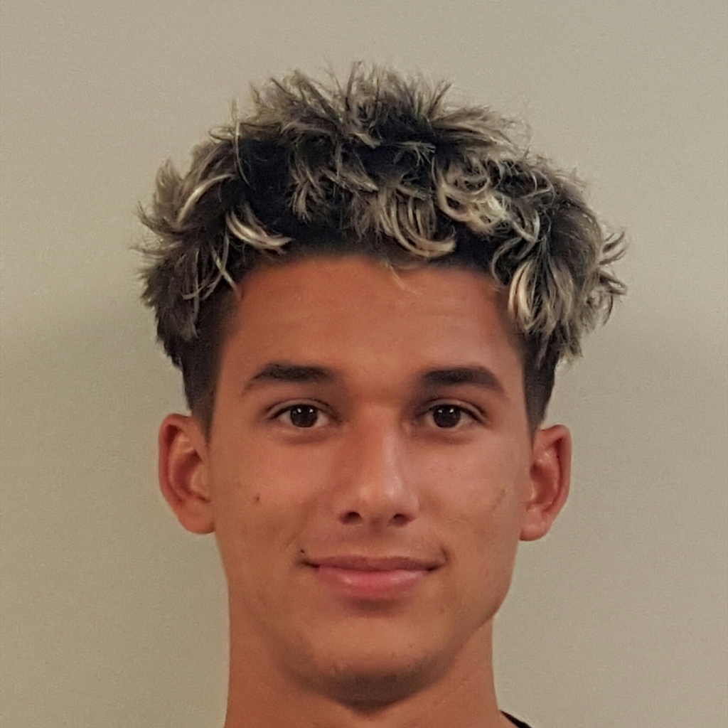 Luis Brignoni mugshot