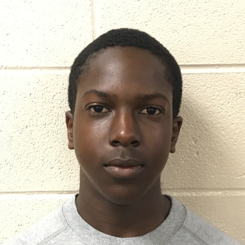 Gabriel Henson mugshot