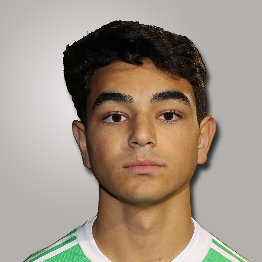Arman Salimi mugshot