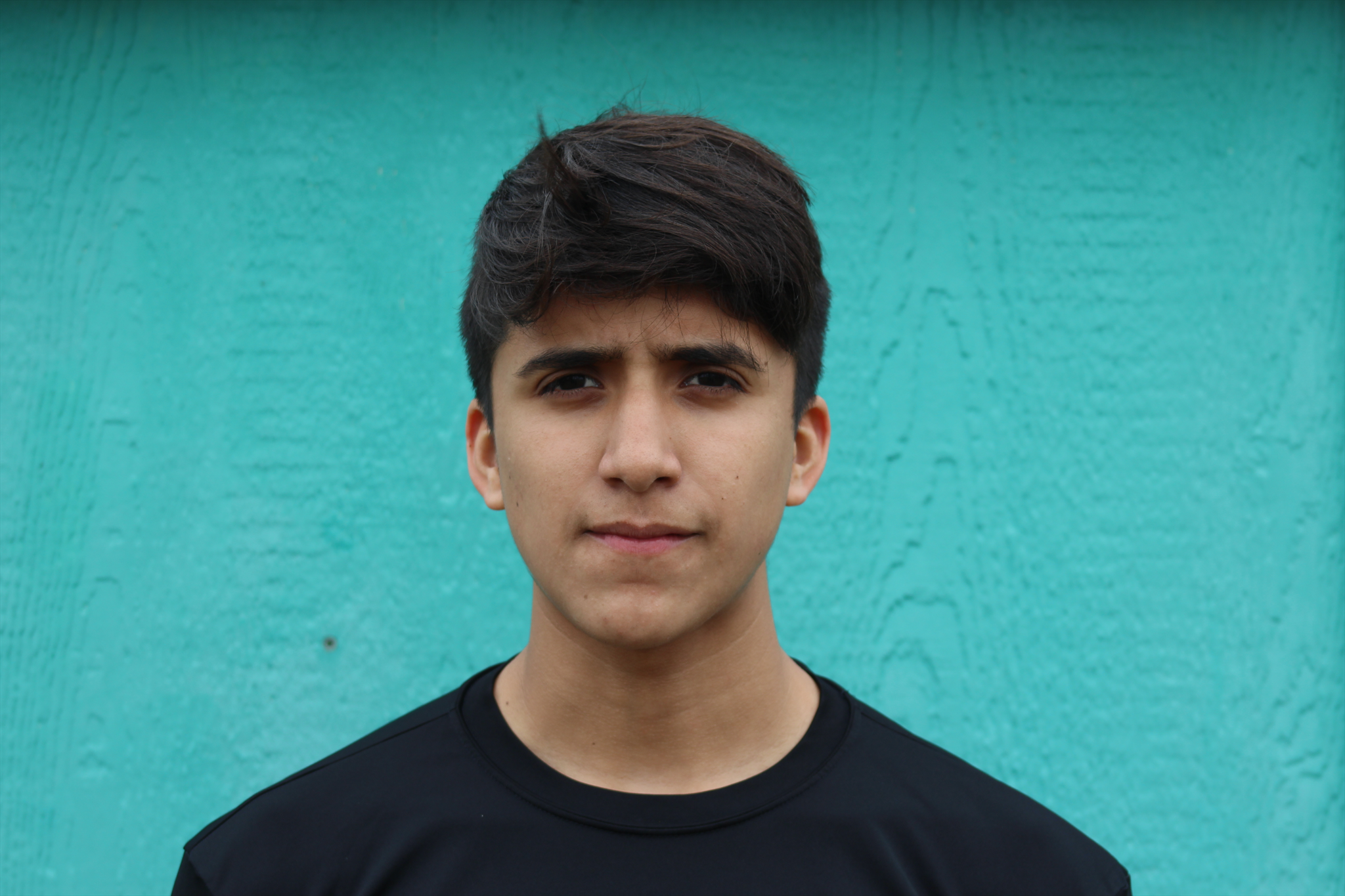 Alfonso (leo) Parra