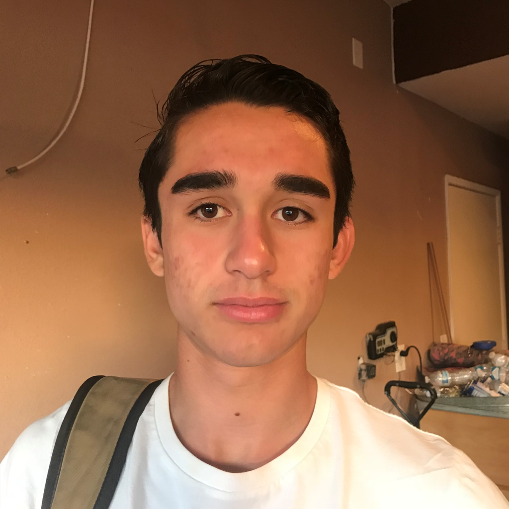 Enrique Avalos mugshot