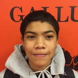 Primitivo Trevizo mugshot