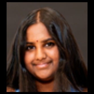 Taswita Sai Gopireddy mugshot