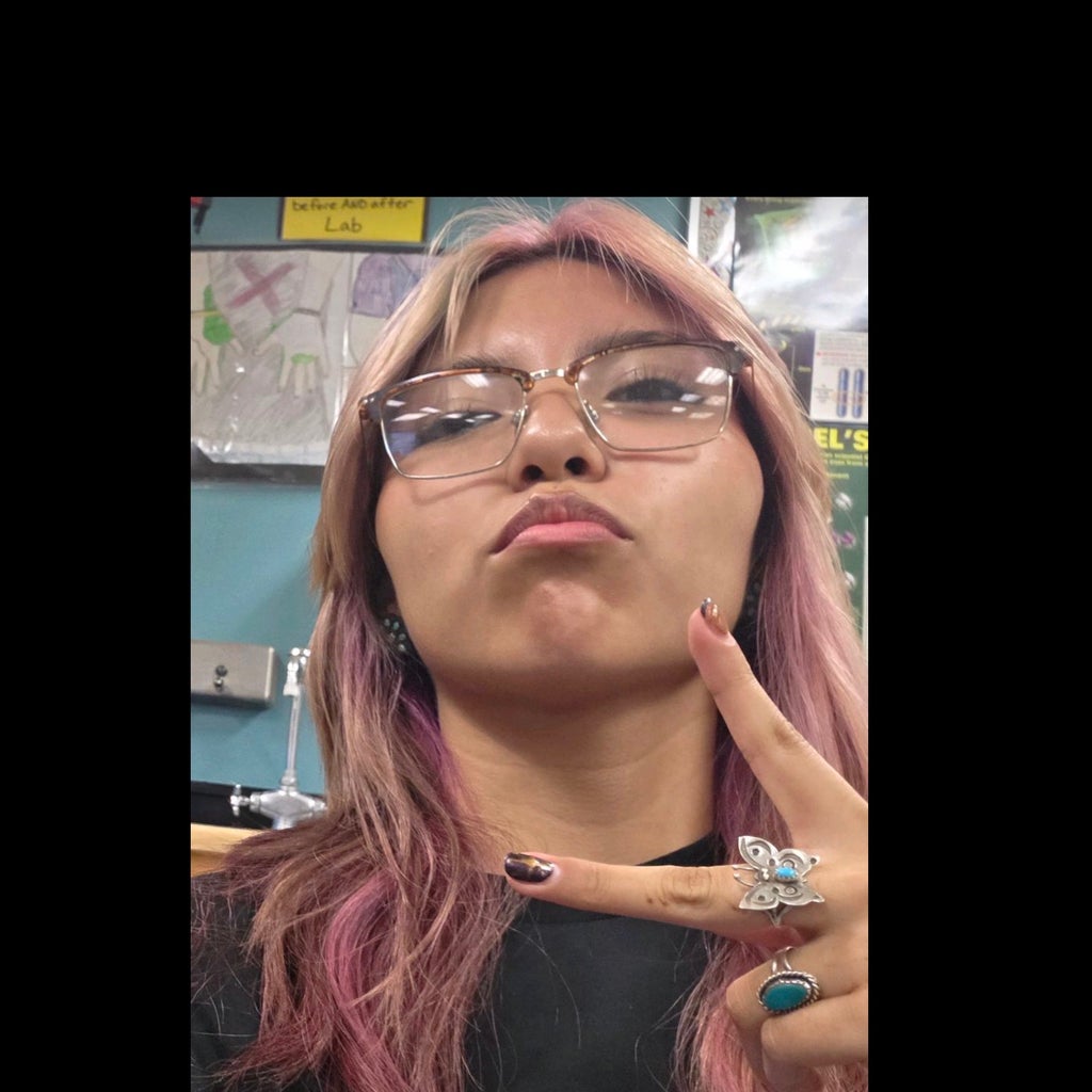 Delayna Platero mugshot