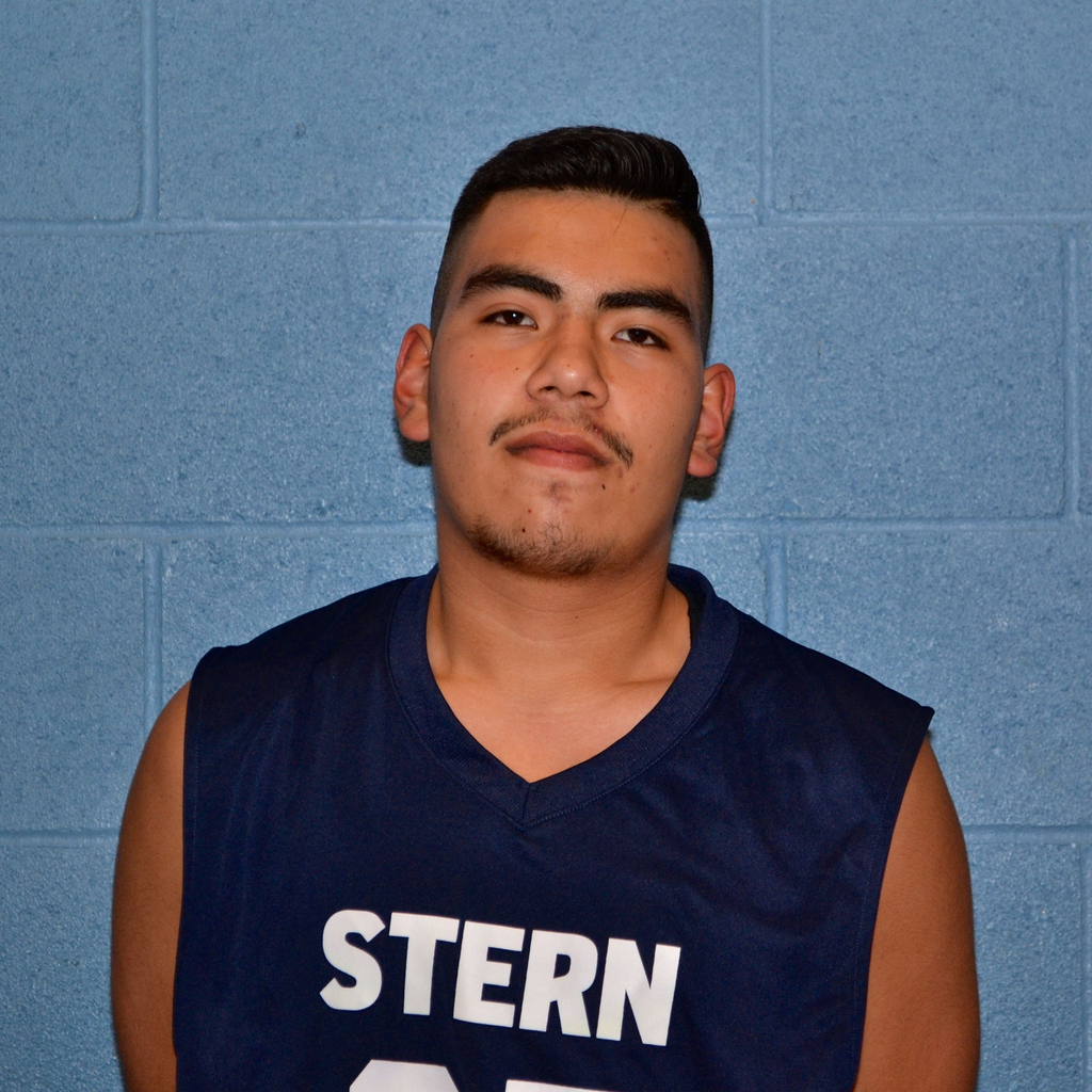 Junior Gomez mugshot