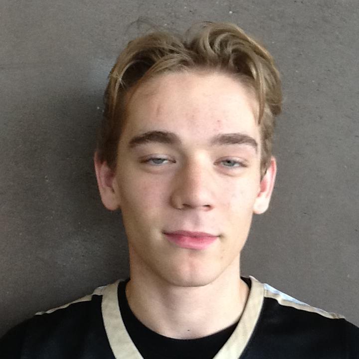 Logan Hokanson mugshot