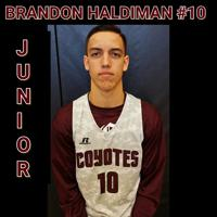 Brandon Haldiman mugshot