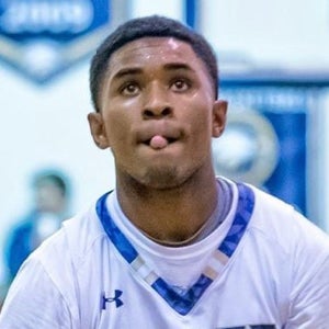 Julius Felder