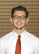 Amir Dedic
