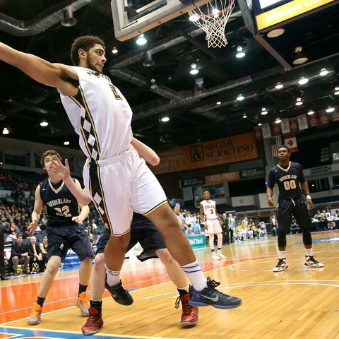 Anthony Lamb