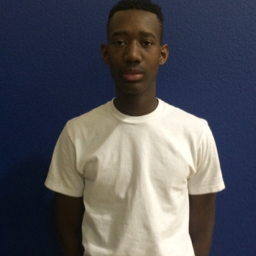 Isaiah Washington mugshot