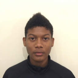 Joshua Postma mugshot