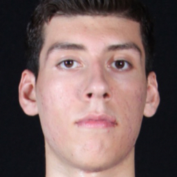 Roman Silva mugshot