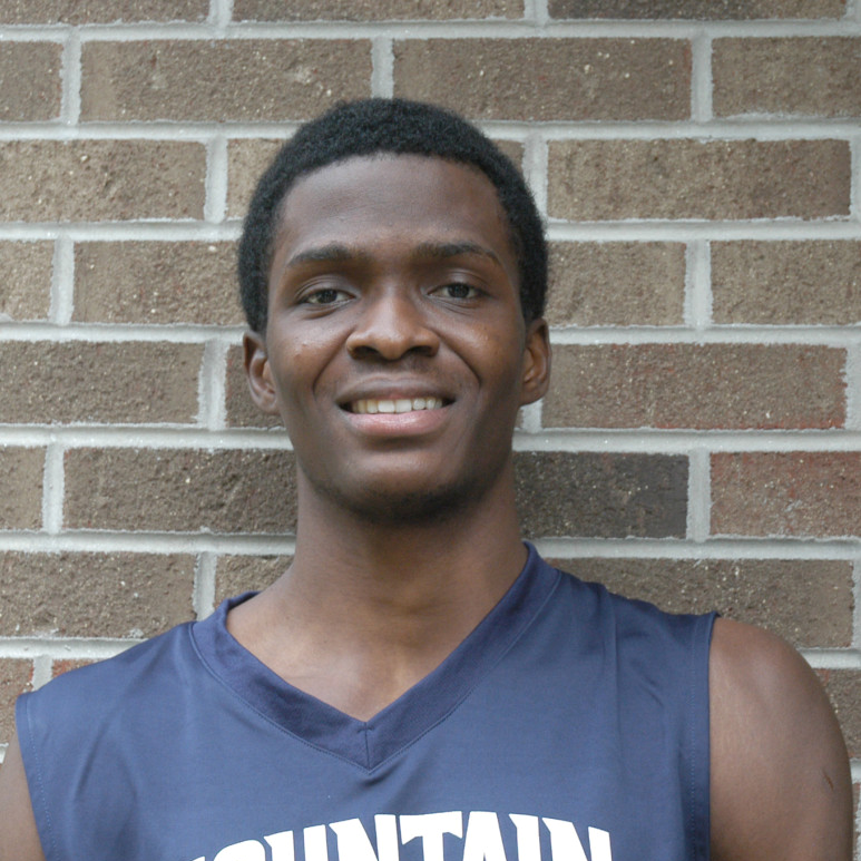 Tunde Akinrinmade mugshot