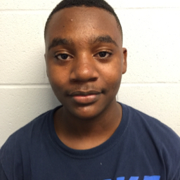 Lamichael Bryant mugshot
