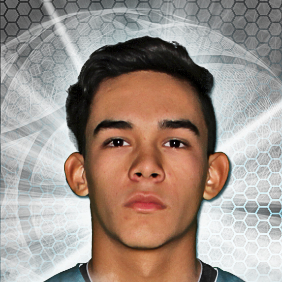 Austin Mena mugshot