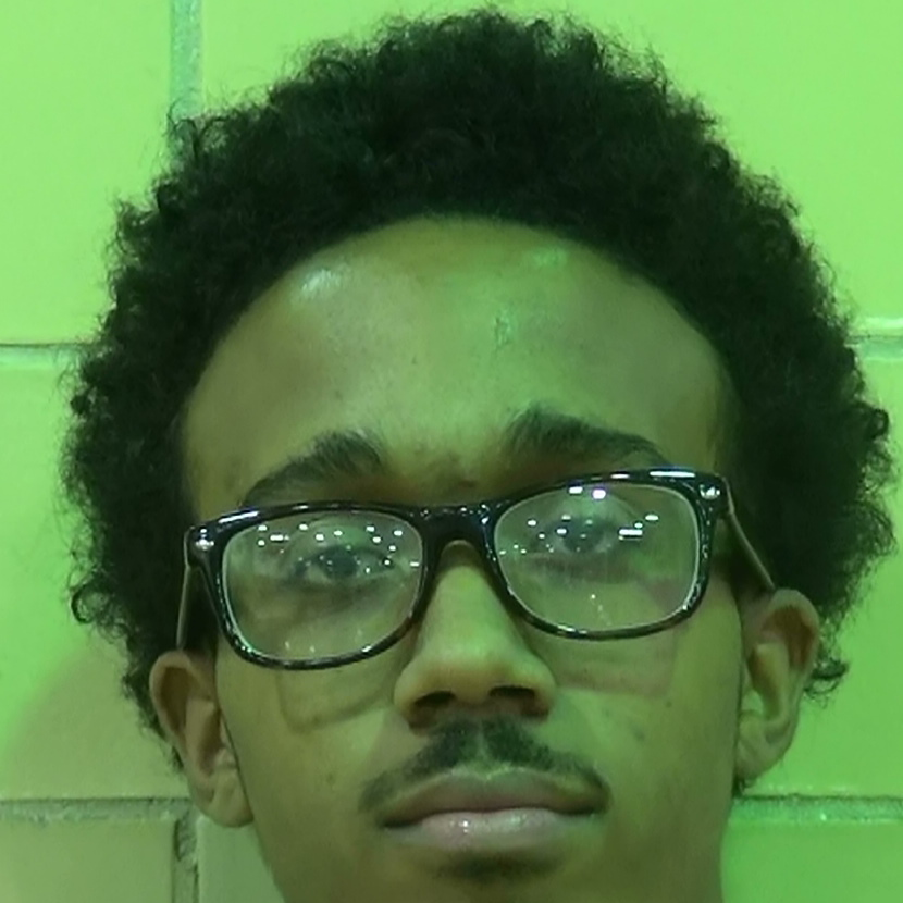 Harlan Lyles mugshot