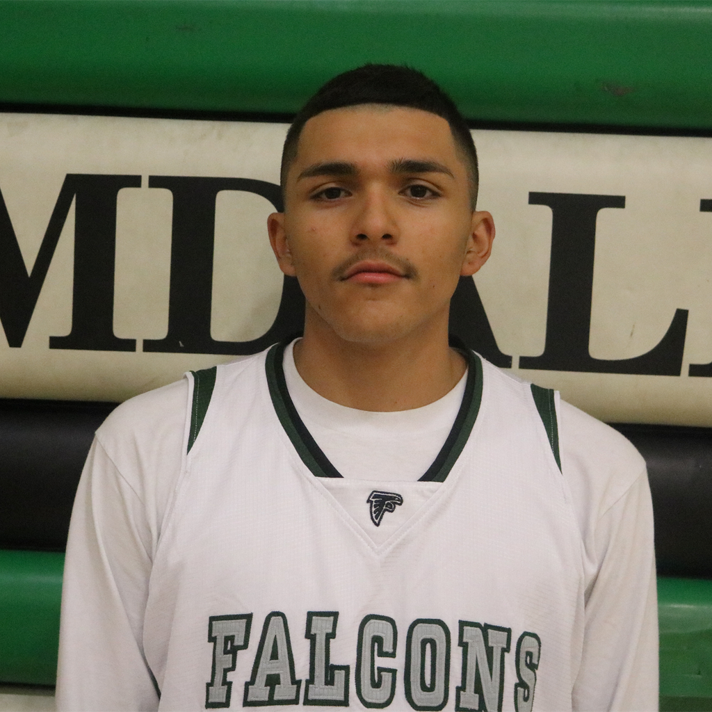 ARNOLD CARDENAS mugshot