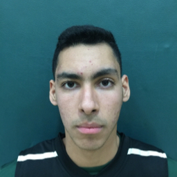 Ricky Zamudio mugshot