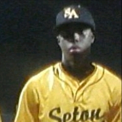 Brandon Woods mugshot