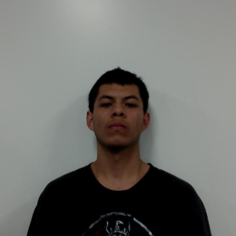 Eric Flores mugshot