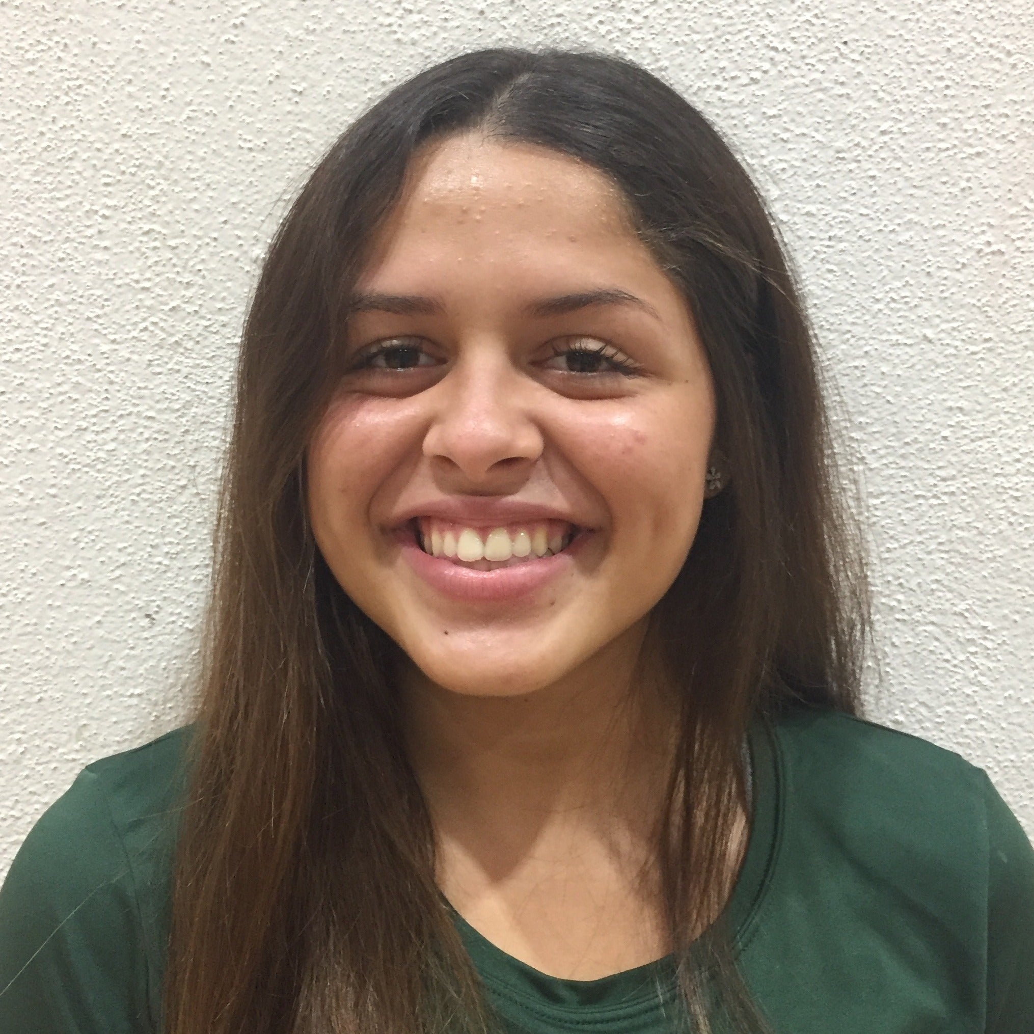 Sheisa Villegas mugshot