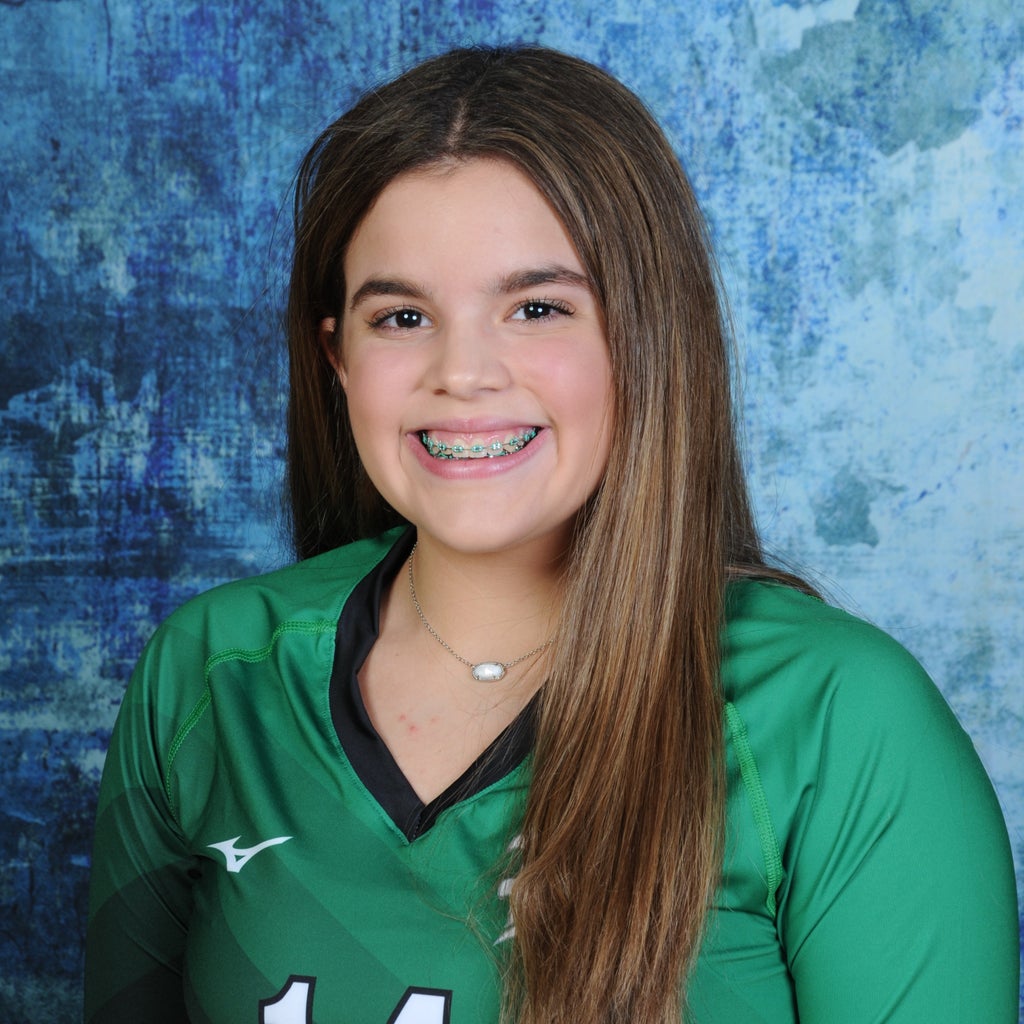 Reagan Aponte mugshot