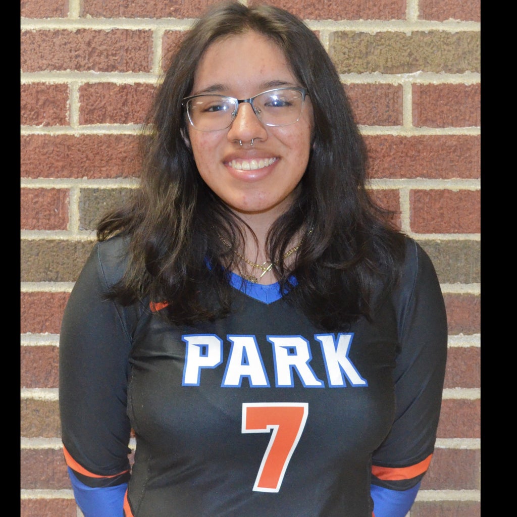 Deborah  Santos mugshot