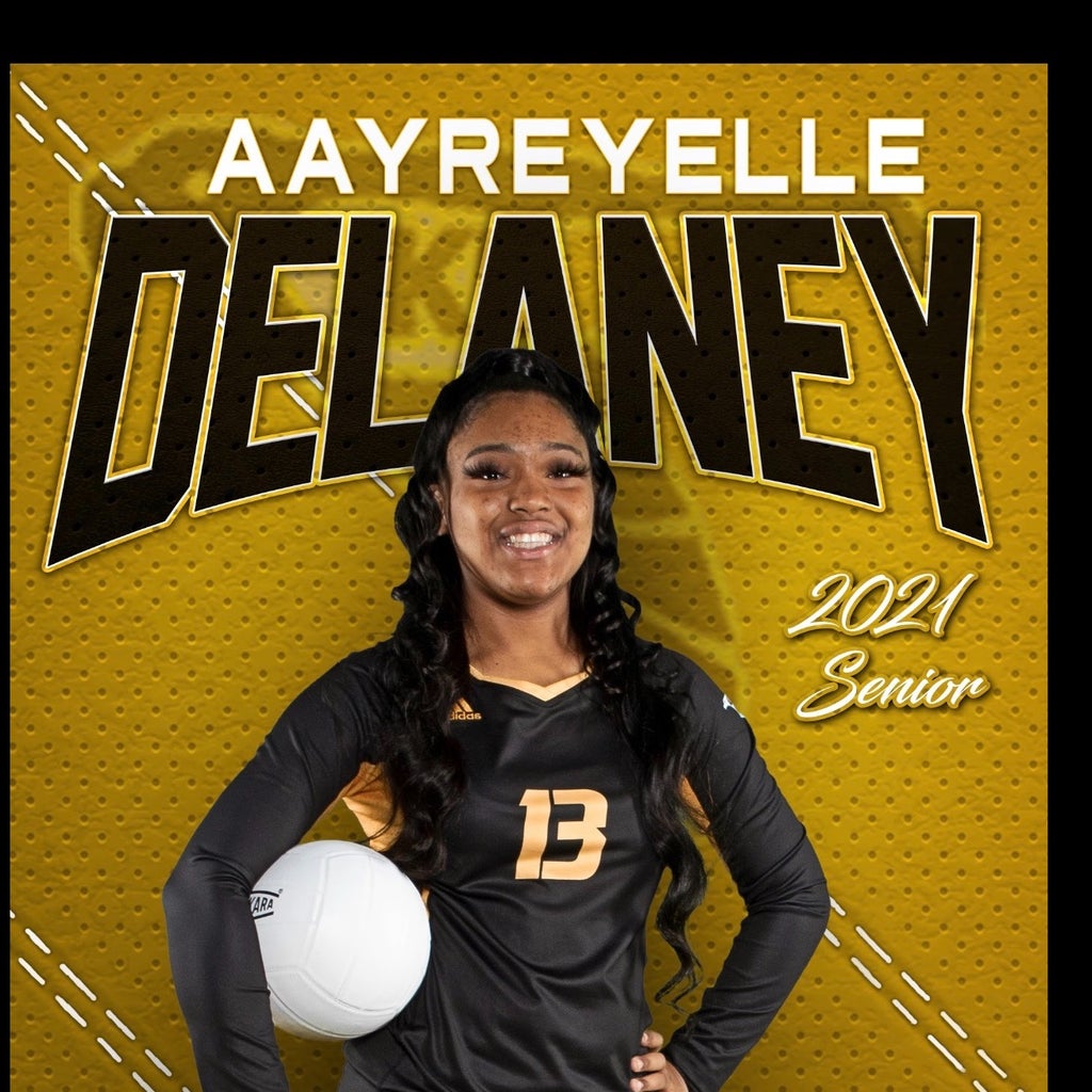 Aayreyelle Delaney mugshot