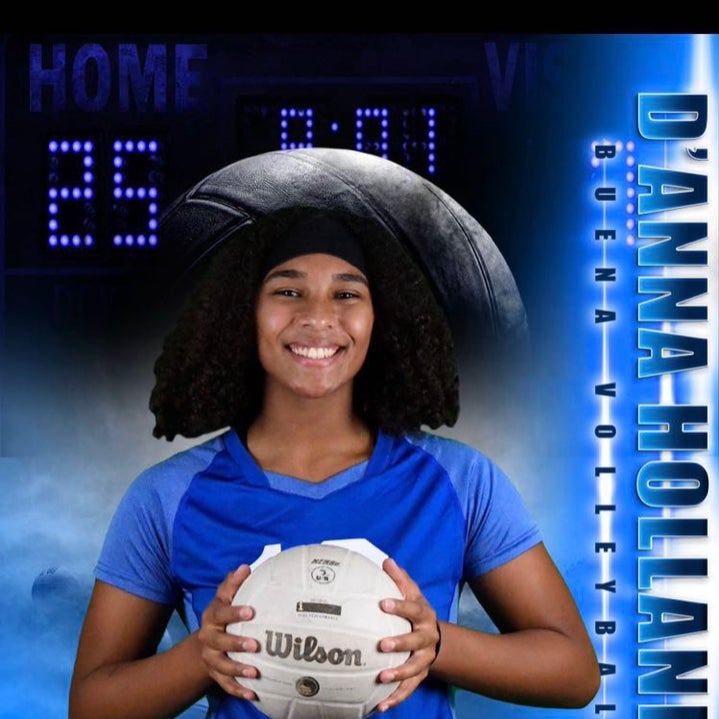 D'anna Holland mugshot